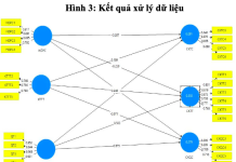 Vai trò của phong cách lãnh đạo chuyển đổi đến cam kết với tổ chức của nhân viên ngành bán lẻ