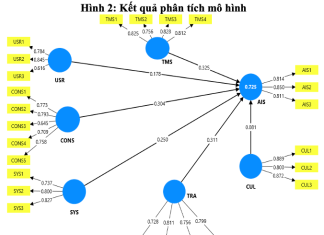 Ảnh hưởng của môi trường ERP đến chất lượng hệ thống thông tin kế toán của các doanh nghiệp sản xuất tại TP. Hồ Chí Minh