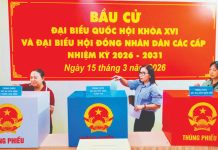 Háo hức đón chờ Ngày hội non sông