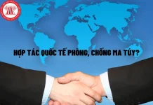 Kinh nghiệm quốc tế trong thực hiện pháp luật về phòng, chống ma tuý và giá trị tham khảo cho TP. Hồ Chí Minh