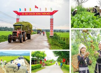 Lãnh đạo xây dựng nông thôn mới trong bối cảnh chuyển đổi số và biến đổi khí hậu giai đoạn từ năm 2015 – 2025