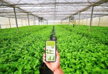 Chuyển đổi số nông nghiệp – những thách thức từ góc độ của người sản xuất