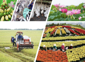 Tỉnh ủy Đồng Tháp lãnh đạo tái cơ cấu ngành Nông nghiệp của tỉnh giai đoạn 2015 – 2025