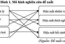 Mô hình nghiên cứu ảnh hưởng của trải nghiệm nhân viên tới hiệu suất làm việc