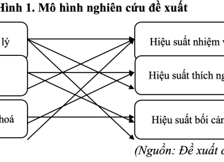 Mô hình nghiên cứu ảnh hưởng của trải nghiệm nhân viên tới hiệu suất làm việc