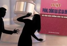 Một số giải pháp phòng, chống bạo lực gia đình ở TP. Hồ Chí Minh