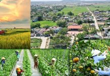 Một số yếu tố ảnh hưởng đến bảo đảm lợi ích kinh tế của nông dân ở tỉnh Thanh Hóa