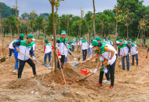 Kế toán môi trường tại Việt Nam và giải pháp hoàn thiện