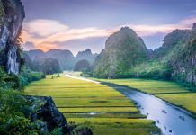 Nâng cao hiệu quả phân cấp ngân sách địa phương – Từ nghiên cứu trường hợp tỉnh Ninh Bình