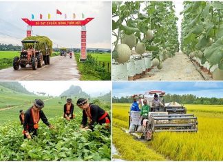 Hiệu quả từ những mô hình giảm nghèo bền vững – Thực tiễn tại tỉnh Đồng Tháp