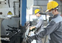 Phát triển kinh tế tư nhân trên địa bàn thành phố Đồng Nai