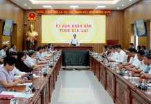 Gia Lai đồng hành, hỗ trợ phát triển doanh nghiệp tiên phong