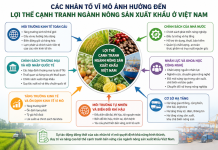 Các nhân tố vĩ mô ảnh hưởng đến lợi thế cạnh tranh ngành Nông sản xuất khẩu ở Việt Nam