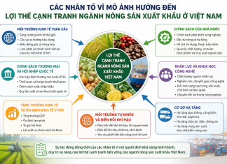 Các nhân tố vĩ mô ảnh hưởng đến lợi thế cạnh tranh ngành Nông sản xuất khẩu ở Việt Nam