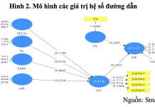 Ảnh hưởng của chuyển đổi số đến hiệu quả hoạt động của doanh nghiệp tại khu vực Bình Dương, TP. Hồ Chí Minh