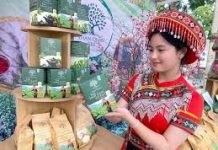 Quản lý nhà nước về du lịch cộng đồng khu vực phía Nam tỉnh Tuyên Quang