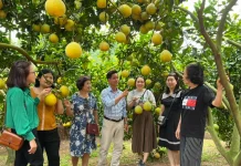 Phát triển mô hình du lịch nông thôn gắn với vùng cây ăn quả chủ lực: kinh nghiệm thực tiễn và giải pháp cho tỉnh Bắc Ninh