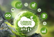 Phát triển thị trường tín chỉ Carbon: kinh nghiệm quốc tế và khuyến nghị cho Việt Nam