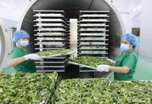 Giải pháp phát triển doanh nghiệp chế biến nông sản ở Việt Nam hiện nay