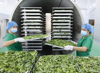 Giải pháp phát triển doanh nghiệp chế biến nông sản ở Việt Nam hiện nay