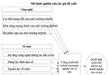 Quyết định chuyển đổi sang mô hình hybrid của doanh nghiệp vừa và nhỏ tại TP. Hồ Chí Minh