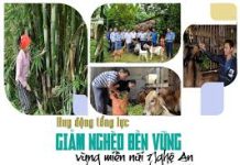 Thách thức trong giảm nghèo bền vững trên địa bàn tỉnh Nghệ An hiện nay