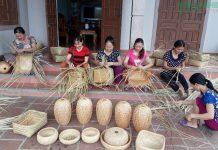 Nâng cao hiệu quả hoạt động hợp tác xã nông nghiệp gắn với du lịch ở tỉnh Nghệ An trong bối cảnh chuyển đổi số và kinh tế xanh