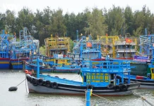 Nâng cao hiệu lực quản lý nhà nước về đất đai gắn với phát triển sinh kế bền vững cho ngư dân ven biển, từ thực tiễn ở xã Bình Châu, TP. Hồ Chí Minh