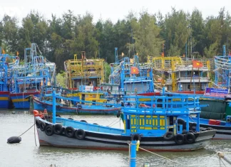 Nâng cao hiệu lực quản lý nhà nước về đất đai gắn với phát triển sinh kế bền vững cho ngư dân ven biển, từ thực tiễn ở xã Bình Châu, TP. Hồ Chí Minh