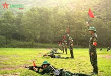 Một số giải pháp phát triển năng lực thẩm mỹ cho sĩ quan cấp phân đội Quân đội nhân dân Việt Nam hiện nay