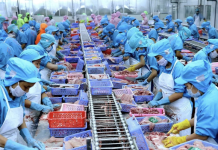 Xếp hạng yếu tố thể chế, vĩ mô trong cạnh tranh doanh nghiệp chế biến thủy sản Việt Nam
