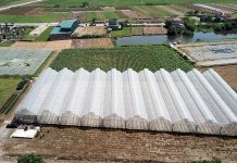 Nhân tố ảnh hưởng đến quan hệ lợi ích kinh tế trong thu hồi đất nông nghiệp ở tỉnh Bắc Ninh hiện nay