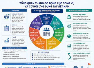 Tổng quan thang đo động lực công vụ và cơ hội ứng dụng tại Việt Nam