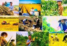 Vai trò của tăng năng suất lao động nông nghiệp trong phát triển kinh tế – xã hội ở nông thôn