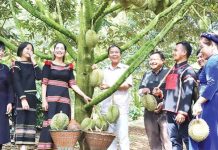 Nguồn lực phát triển kinh tế tư nhân ở tỉnh Đắk Lắk: bằng chứng từ kết quả khảo sát