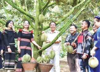 Nguồn lực phát triển kinh tế tư nhân ở tỉnh Đắk Lắk: bằng chứng từ kết quả khảo sát