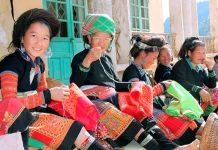 Năng lực số trong quản lý kinh tế hộ gia đình người H’Mông ở tỉnh Lào Cai: tiếp cận từ vốn sinh kế