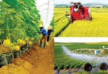 Kinh nghiệm phát triển chuỗi cung ứng thông minh cho sản phẩm nông nghiệp của Trung Quốc và hàm ý chính sách cho Việt Nam