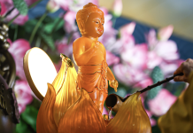 Sự chuyển biến của Phật giáo Bình Dương trong bối cảnh công nghiệp hóa, đô thị hóa và hội nhập quốc tế (1997- 2024)