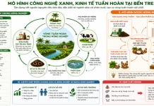 Nhân rộng mô hình công nghệ xanh và kinh tế tuần hoàn gắn với chuỗi giá trị nông nghiệp chủ lực trên địa bàn Bến Tre, tỉnh Vĩnh Long