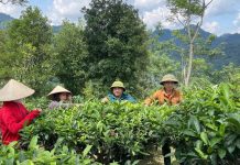Bảo đảm sinh kế bền vững cho đồng bào dân tộc thiểu số trên địa bàn các tỉnh biên giới phía Bắc hiện nay