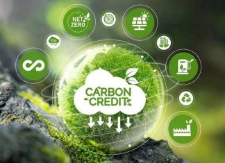 Xây dựng hạ tầng số thị trường carbon của Ấn độ và hàm ý chính sách cho Việt Nam