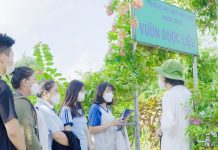Phát huy vai trò của học tập phục vụ cộng đồng trong kết nối nguồn lực đại học với giáo dục tài chính cộng đồng: Hàm ý chính sách cho Trường Đại học Văn Lang
