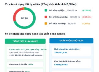 Phát triển kinh tế tư nhân trên địa bàn phường Đông Triều, tỉnh Quảng Ninh