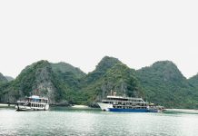 Chuyển đổi số trong quản trị điểm đến du lịch biển ở Việt Nam