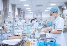 Tỉnh ủy Phú Thọ lãnh đạo xây dựng đội ngũ viên chức trong các đơn vị sự nghiệp y tế công lập trực thuộc Sở Y tế hiện nay