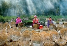 Thúc đẩy chuyển đổi số trong cộng đồng đồng bào dân tộc thiểu số đồng bằng sông Cửu Long