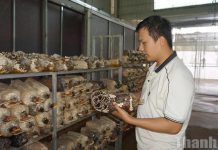 Một số giải pháp phát triển doanh nghiệp tư nhân ở Đắk Lắk