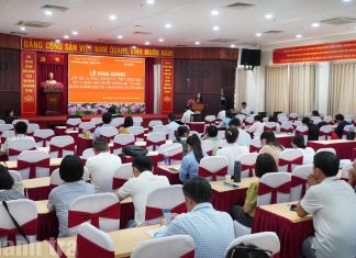 Nâng cao hiệu quả thực hiện chính sách bồi dưỡng công chức tại phường Tân Sơn Hòa, TP. Hồ Chí Minh