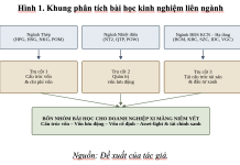 Kinh nghiệm nâng cao hiệu quả sử dụng vốn của một số ngành kinh tế và bài học cho các doanh nghiệp xi măng niêm yết ở Việt Nam